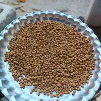 خرید محصولات کشاورزی نخود عدس