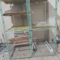 طبرسی شمالی۱۳