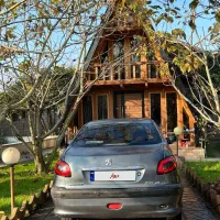 ۲۰۶ اس دی اتومات|خودرو سواری و وانت|ضیابر, |دیوار