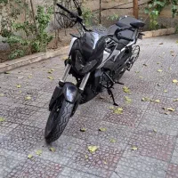دومینار 250 باجاج مدل 1404|موتورسیکلت|تهران, زنجان جنوبی|دیوار
