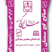 کچ صالح سمنان سفید کاری ۲ کیسه ونصفی