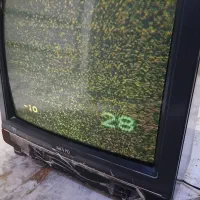 تلفزیون|تلویزیون و پروژکتور|بوشهر, |دیوار