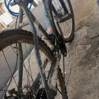 دوچرخه بونیتو|دوچرخه، اسکیت، اسکوتر|صومای برادوست, |دیوار