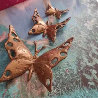 برنز پروانه