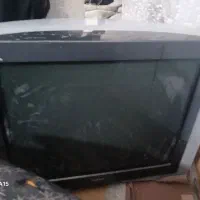 تلویزیون