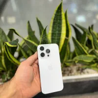 ایفون ۱۶ پرو zaa از دم قسطی طلا یا چک و بازنشسته