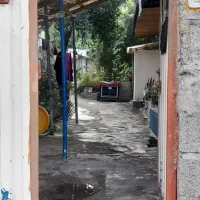 فروش خانه ویلایی|فروش خانه و ویلا|لنگرود, |دیوار