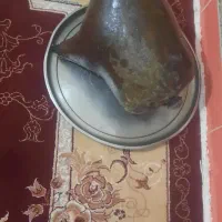 هیزه های نو وسالم|ظروف نگهدارنده، پلاستیکی، یکبارمصرف|نورآباد, |دیوار