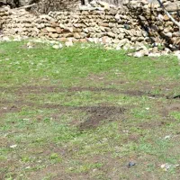 باغچه زمین برای مسکونی