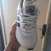 کفش ساکونی آدیداس