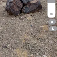 اوستادکارسفتکاروجوشکار