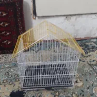 قفس و باکس|لوازم جانبی حیوانات|تربت‌حیدریه, حسنی بالا|دیوار