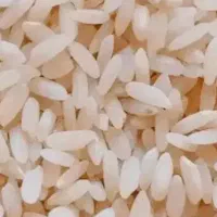 برنج تازه کرف