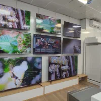 تلویزیون اسنوا 50 اینچ جشنواره