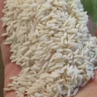 واسطه برای فروش عمده ب عراق میخام