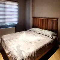 اتحاد-سند-تک-برگ-هدف