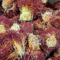 فروش عمده زعفران و هل قم