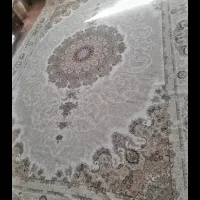 روفرشی کشدار|روفرشی|تبریز, |دیوار