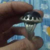 انگشتر نقره عتیقه زیرخاکی نایاب کلکسیونی دستساز|کلکسیون اشیاء عتیقه|تهران, دستغیب|دیوار