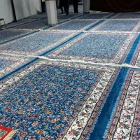 فروش قالی نو|فرش|زرند, |دیوار