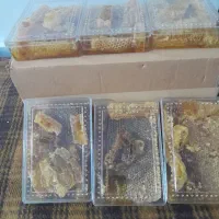 عسل درمانی