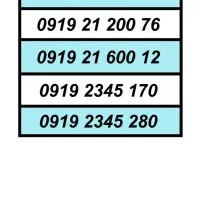 0919.308.9005|سیم‌کارت|کرج, شاهین‌ویلا|دیوار