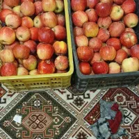 سیب قرمز و خوشمزه و ابدار