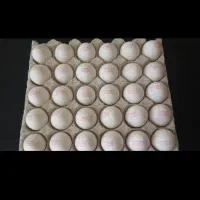 پخش تخم مرغ چ عمده چ خرده فروشی