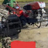 شخم زدن بیجار یا شالی لشت نشا .تیلر زنی.