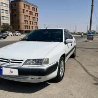 زانتیا بی رنگ