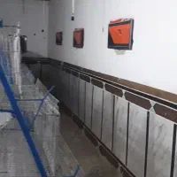 قفس مرغ تخم گذار