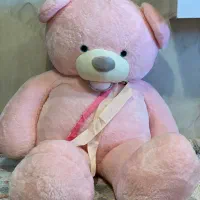 خرس ولنتاین