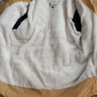 کاپشن|لباس|کرج, چمران|دیوار