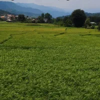 زمین به متراژ ۲۷۳ متر - دو طرف ویلاسازی شده|فروش زمین و ملک کلنگی|اطاقور, |دیوار