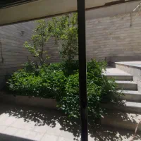 مغازه-تجاری