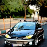 ۲۰۶ مدل۸۱ فرانسه