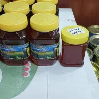عسل خالص سبلان مشکین شهر