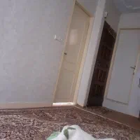 آپارتمان-فروشی-با-پارکینگ-انباری-دارد