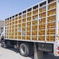 راننده زنده کش