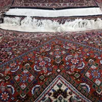 پشتی ریزه ماهی