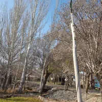 لطفا راهنمایی و پیشنهاد بدید