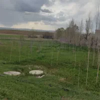گاوداری صنعتی به همراه باغ و منزل مسکونی|فروش دفتر صنعتی، کشاورزی، تجاری|تکاب, |دیوار