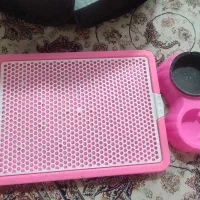 وسایل سگ یا گربه ظرف غذا جای دستشویی