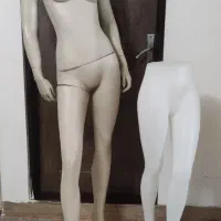مانکن لباس زنانه