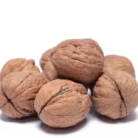 گردو