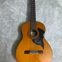 گیتار اریا ak80