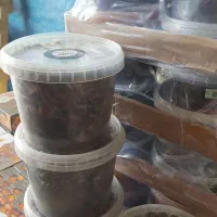 خرما درجه یک|خوردنی و آشامیدنی|مشهد, آپارتمان های مرتفع|دیوار