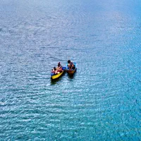 سرمایه-گذار