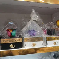 گل رز جاودان|گل و گیاه طبیعی|قم, باجک یک|دیوار