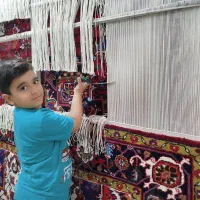 فرش هریس ۶متر|فرش|تبریز, |دیوار